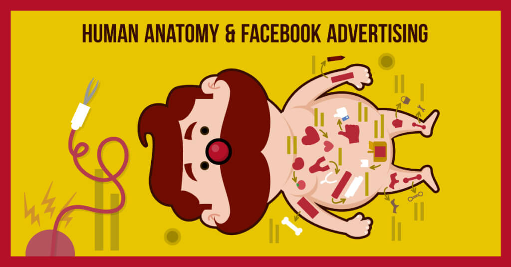 Human Anatomy and Facebook Advertising