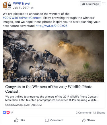 Facebook Contests