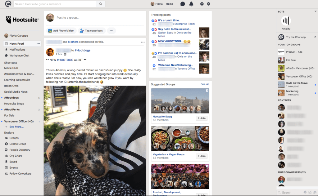 Workplace by Facebook - Hootsuite