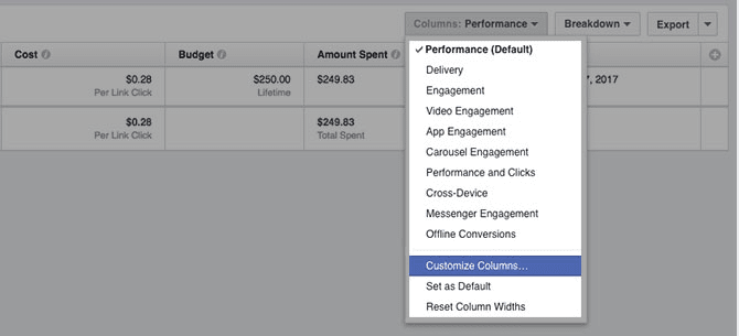 Customizing columns option