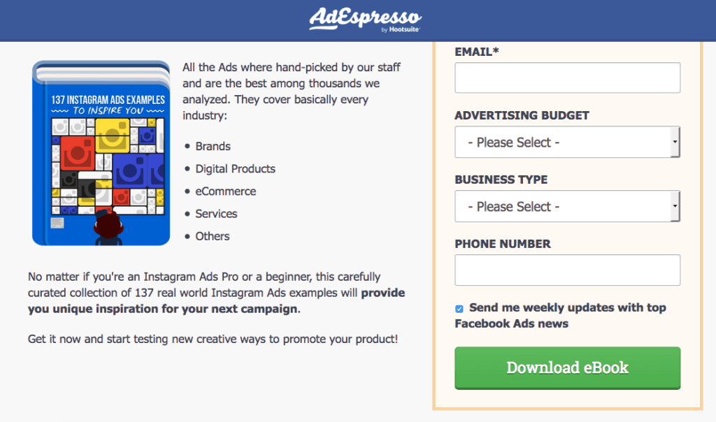 137 Instagram Ads examples lead magnet landing page.