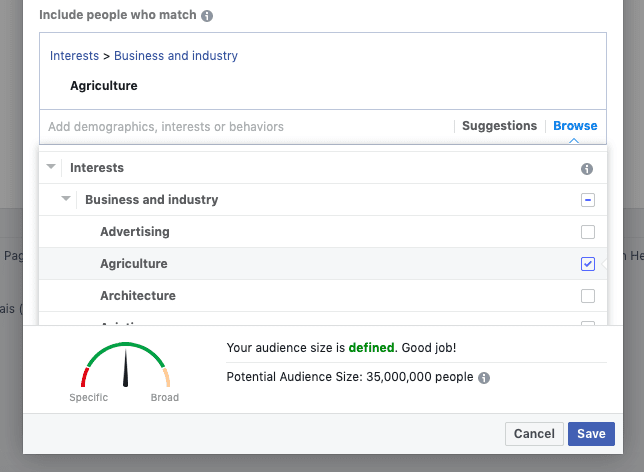 Facebook like audience interest targeting