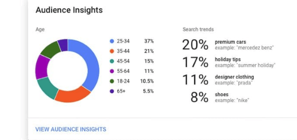 Circle graph showing audience insights in Google Ad Manager