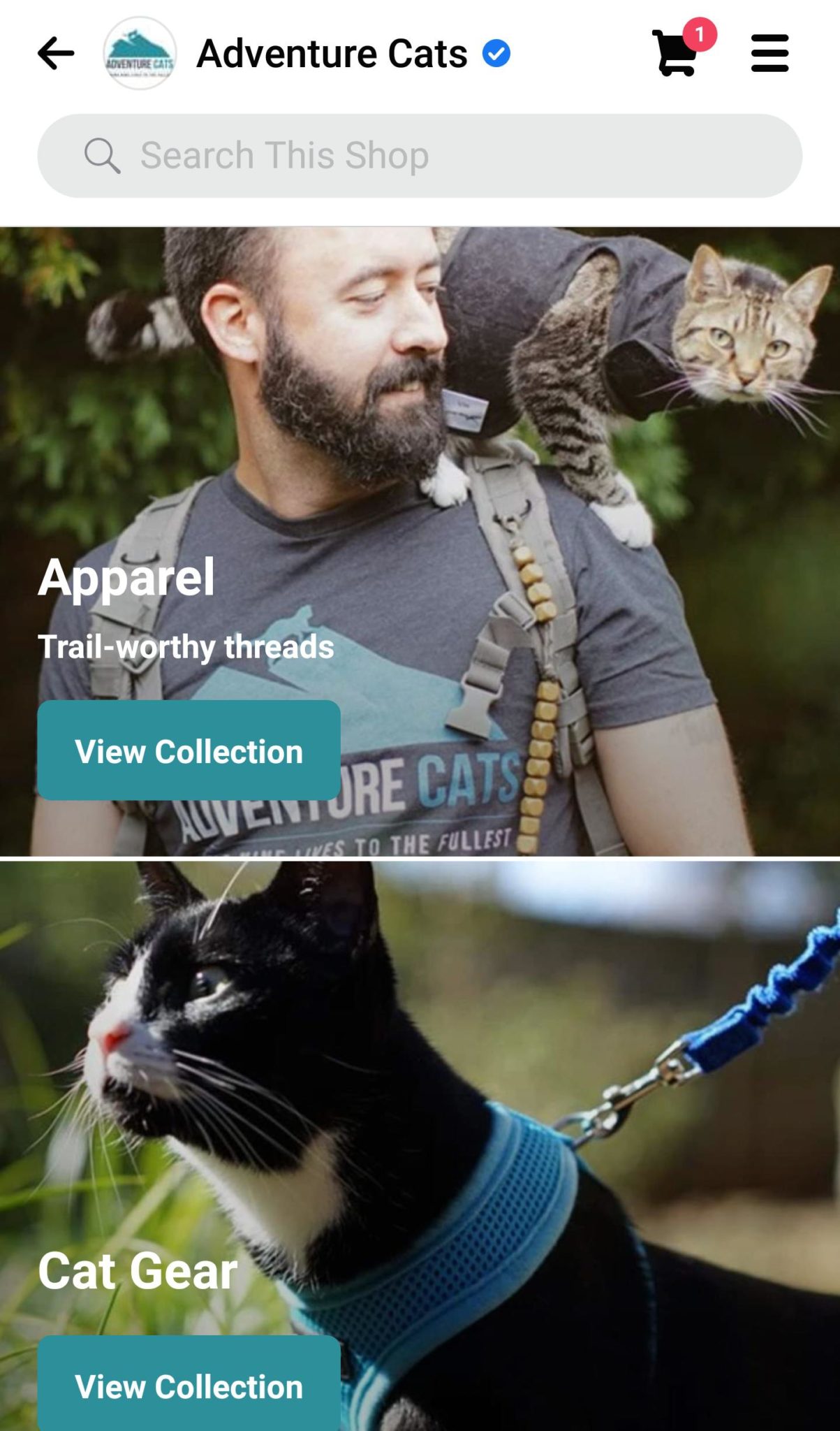 The Beginner's Guide to Facebook Shops (With Examples)