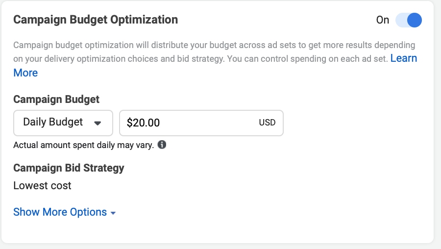 Facebook campaign budget optimization option 