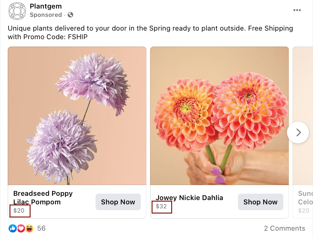 Facebook Ad from Plantgem showing different price points for a/b testing 