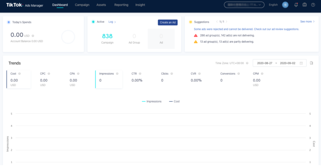 TikTok ad dashboard