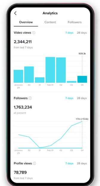 TikTok analytics in the TikTok app